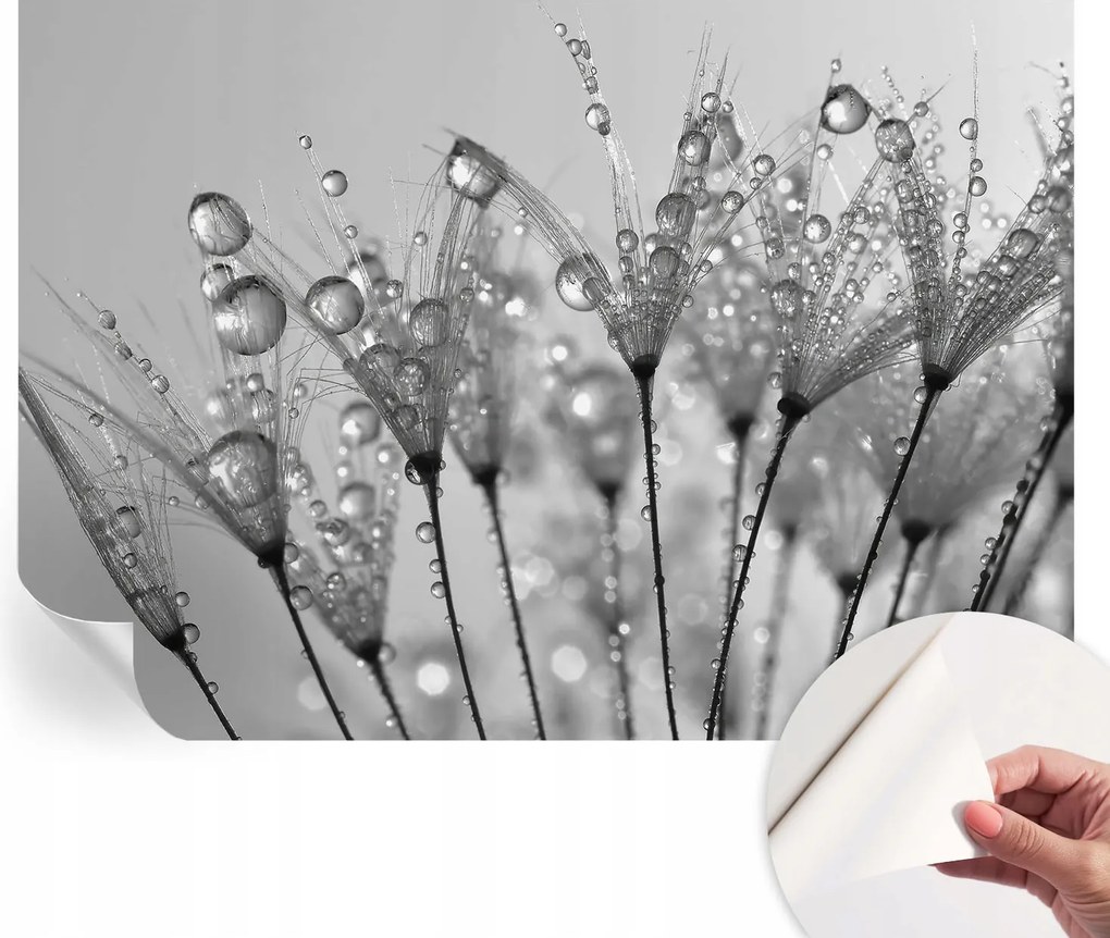 Prémium öntapadós fali tapéta Nedves finomság 312x219 cm