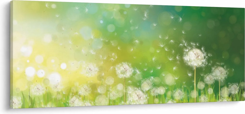 Kép - Virágozatlan pitypang (120x50 cm)