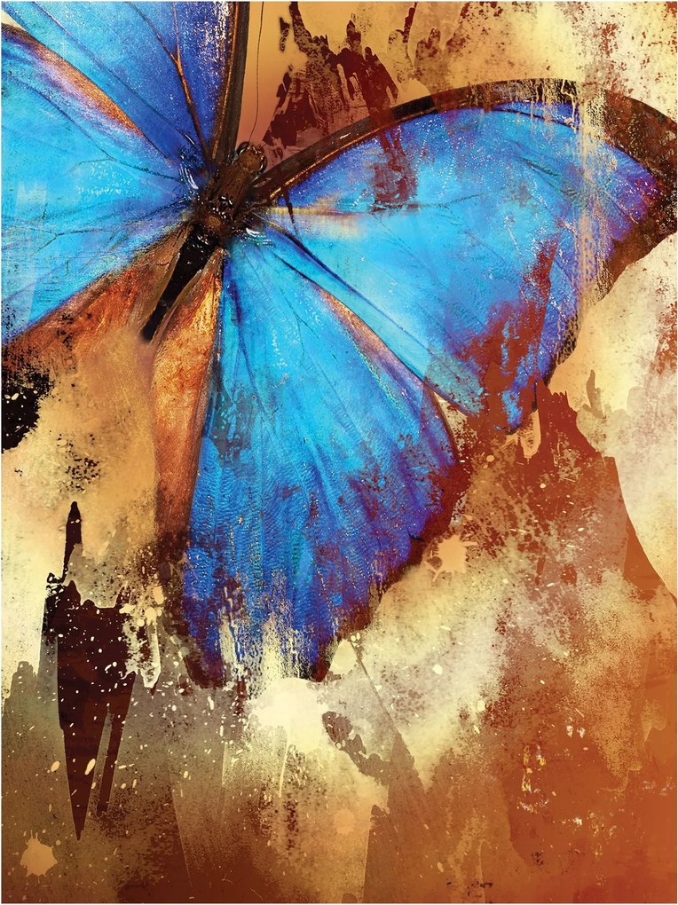 Fotótapéta színes pillangók fotótapéta 206 x 275