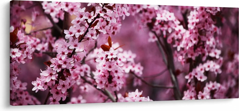 Kép - Rózsaszín sakura (120x50 cm)