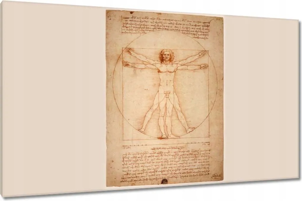 Festmények 120x70 A vitruviusi ember
