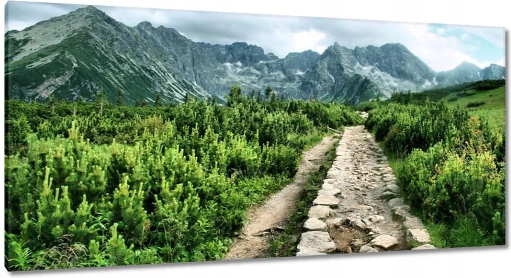 Vászonkép 115x55 Kő út Tátra