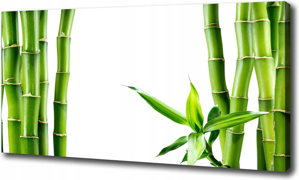 Fotótapéta nagy canvas falikép Bambusz 120x60 cm