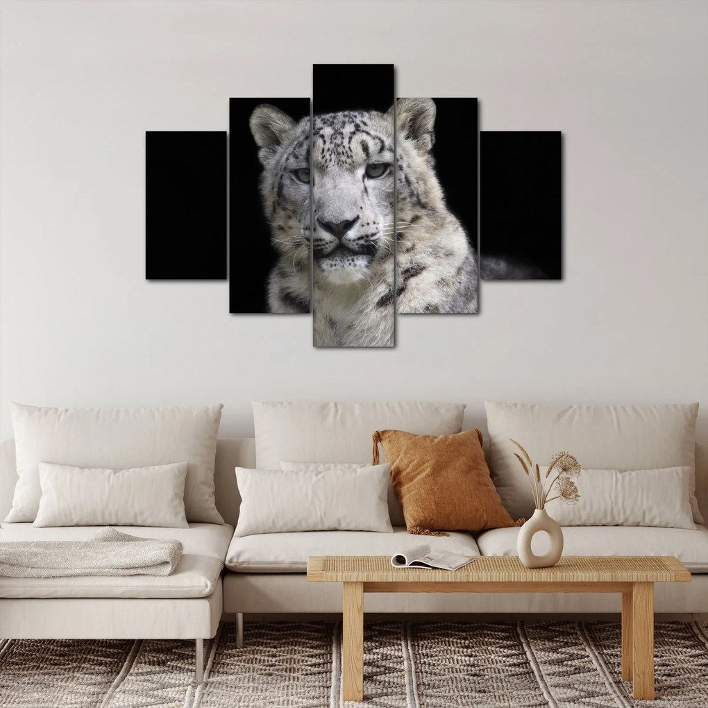 Kép - Snow Leopard (150x105 cm)