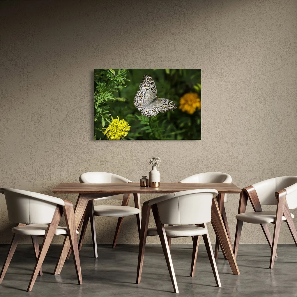 Kép - fehér pillangó (90x60 cm)
