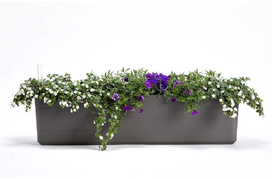 Plastia Berberis 80 Önöntöző virágláda antracit + zöld, 80 cm