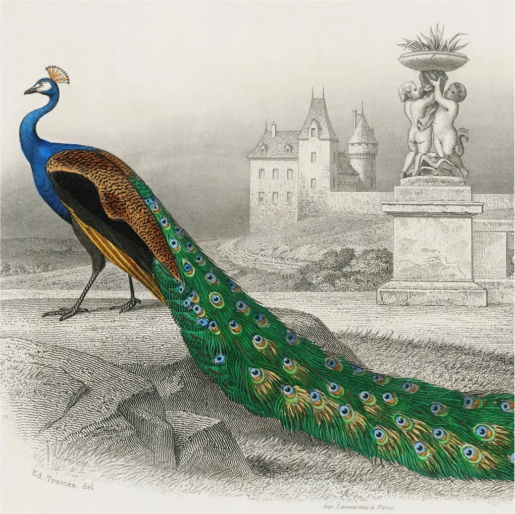 Fotótapéta Dekoratív Fali Tapéta Képek Színes tollak 250x250