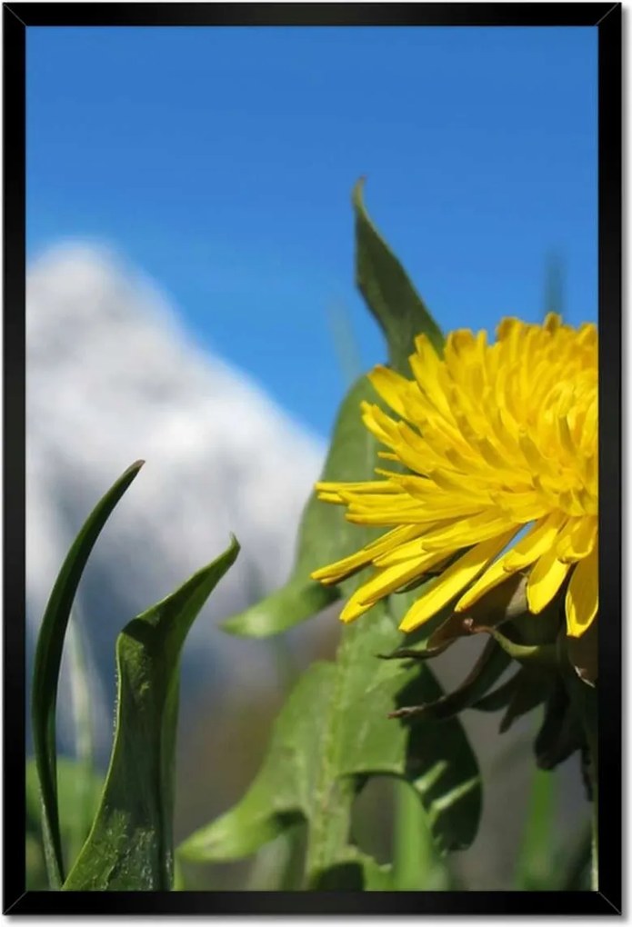 Poszterek keretben 40x60 Alpesi tej