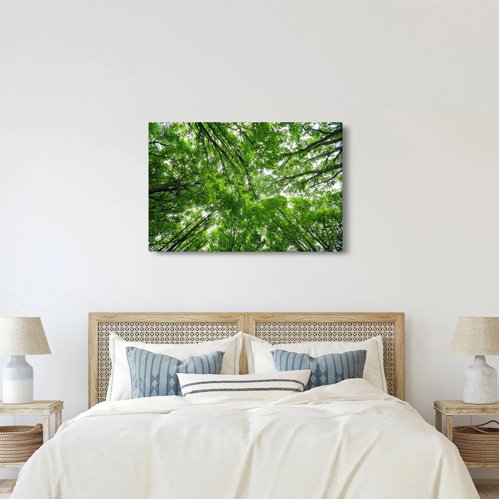 Kép - Kilátás a fák tetejére (90x60 cm)