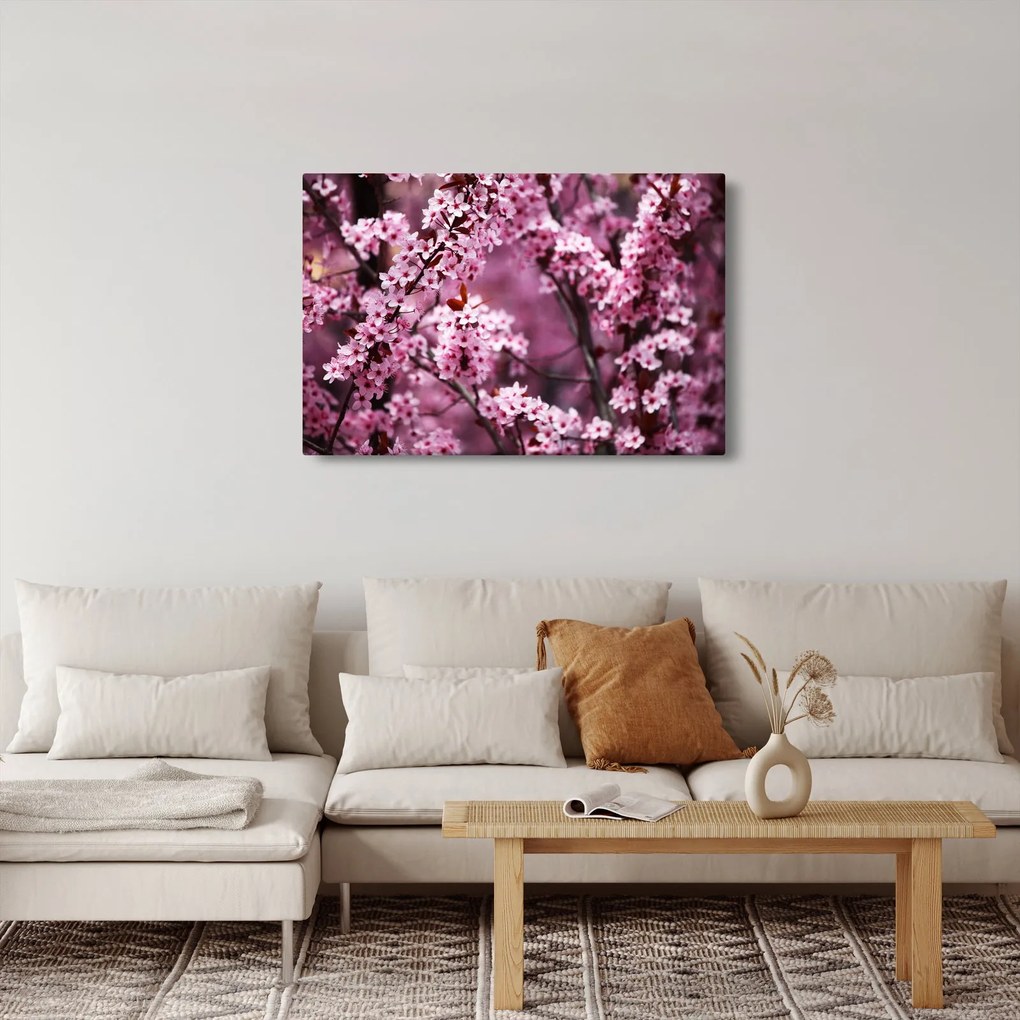 Kép - Rózsaszín sakura (90x60 cm)