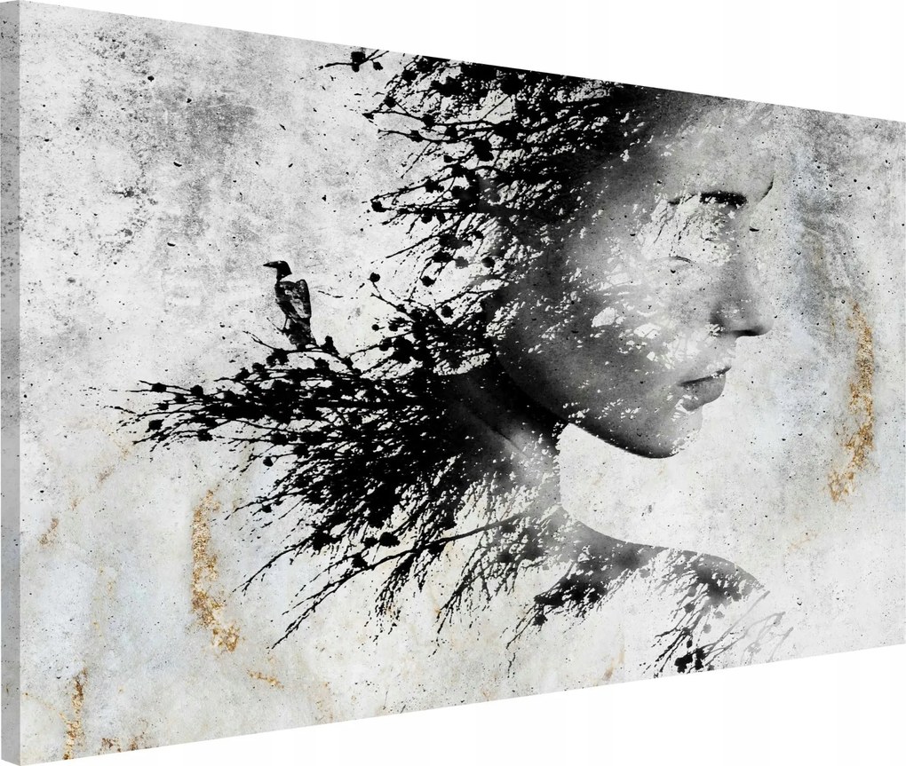 Absztrakt vászonkép nappaliba Nő szürke 80x120cm