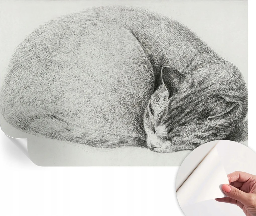 Fotótapéta Fali tapéta Hálószobába és Nappaliba Összecsukható macska 104x70 cm