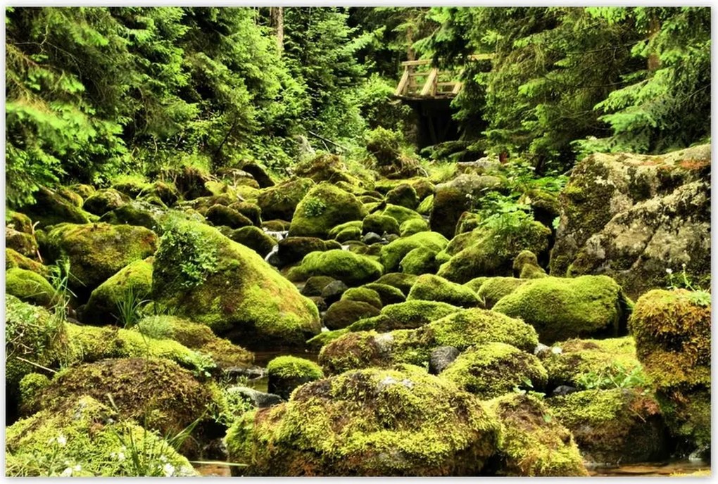 Poszterek 120x80 Tátra Lengyel hegyek Kilátás