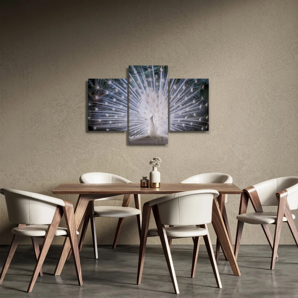 Kép - Fehér páva (90x60 cm)