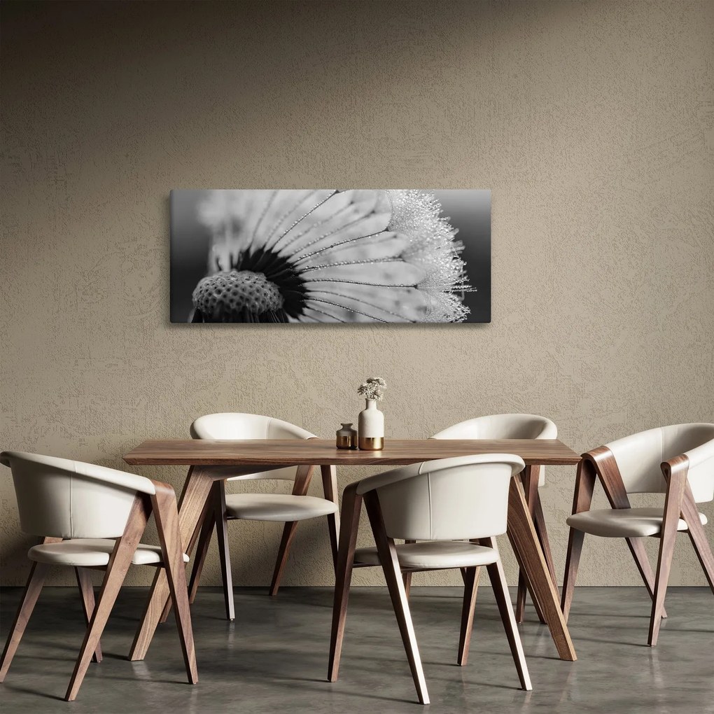 Pitypang képe - fekete fehér (120x50 cm)
