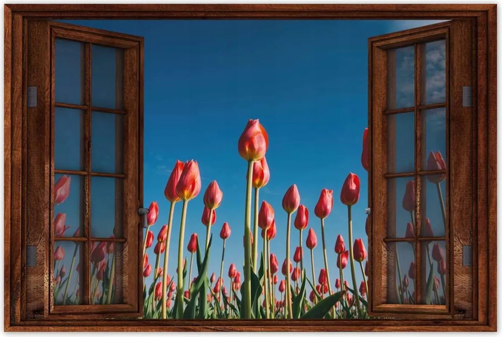 Poszterek 120x80 Tulipánok Tájkép Tulipánok