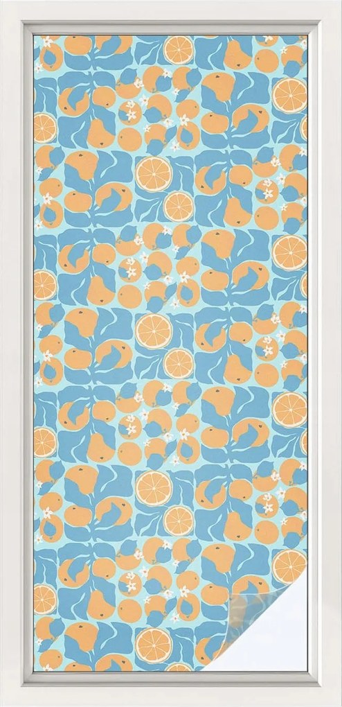 Szélvédőfólia Ablakvédő Hal citrus 50x116 cm