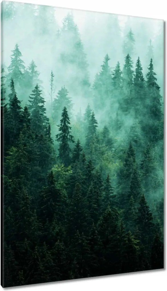 Vászonkép 80x120 Erdő Köd Tájkép Utazás