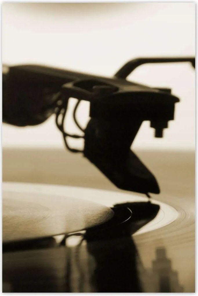 Poszterek 80x120 Vinyl lemez