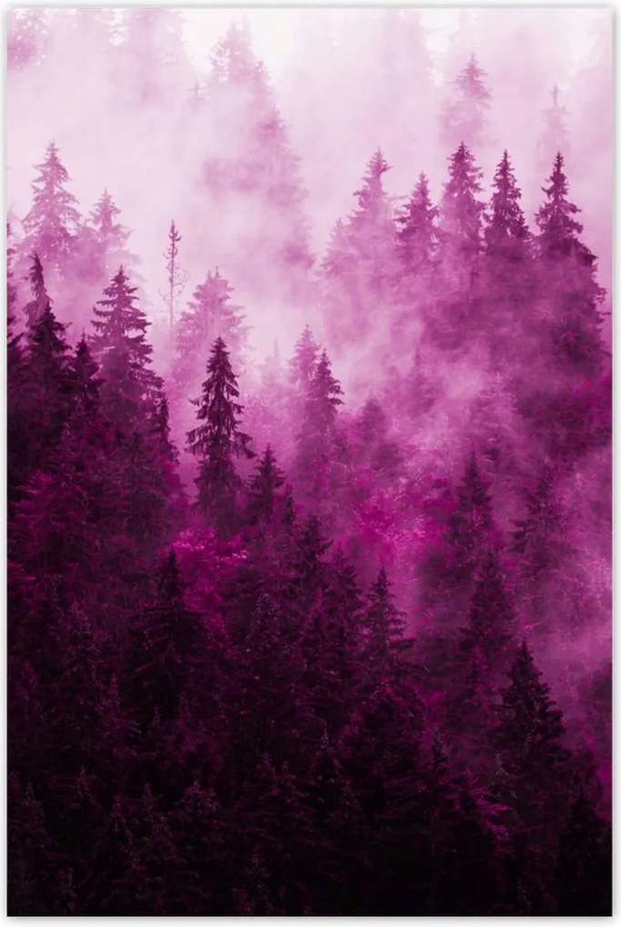 Fotótapéták 122x184 Tájkép Rózsa Hegyek Köd