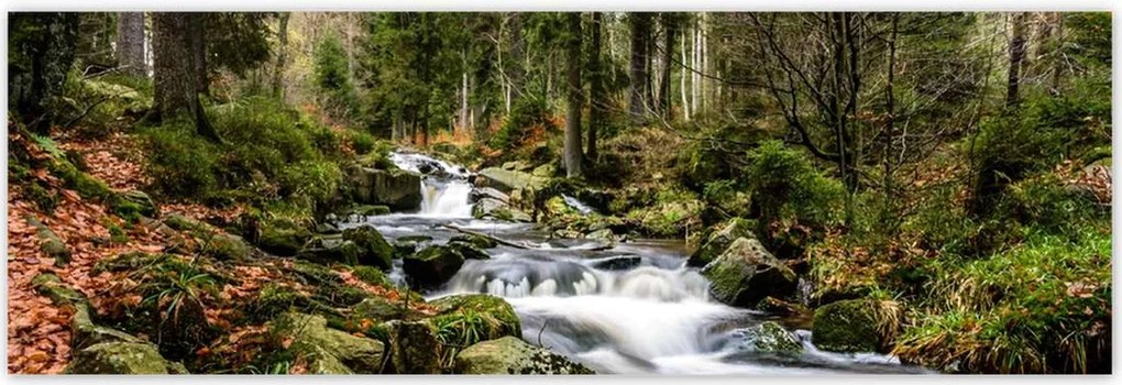 Poszterek 200x66 Tájkép