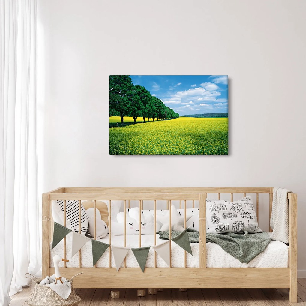 A mező képe egy sikátorral (90x60 cm)