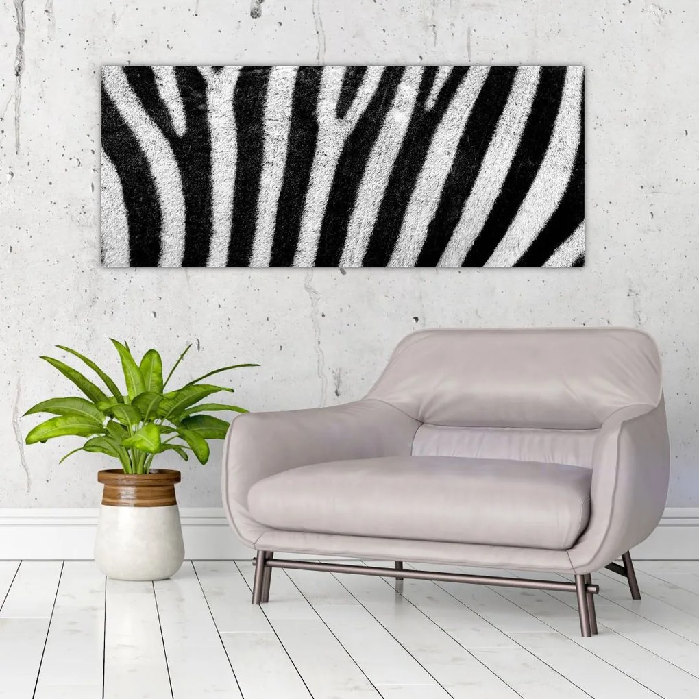 Kép egy zebra bőrről (120x50 cm)