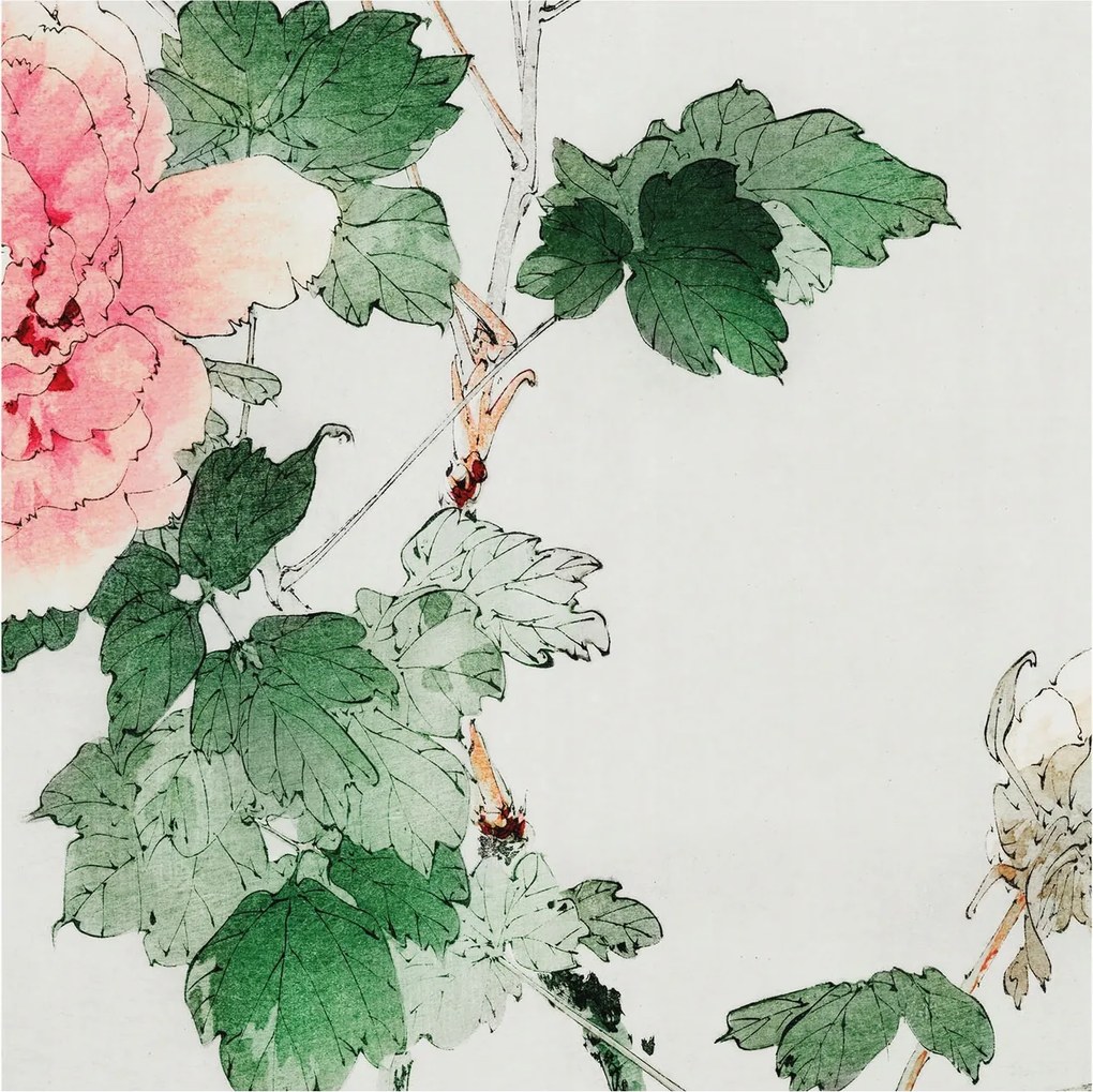 Fotótapéta Flizelin Dekoratív az irodába Virágos finomság 250x250