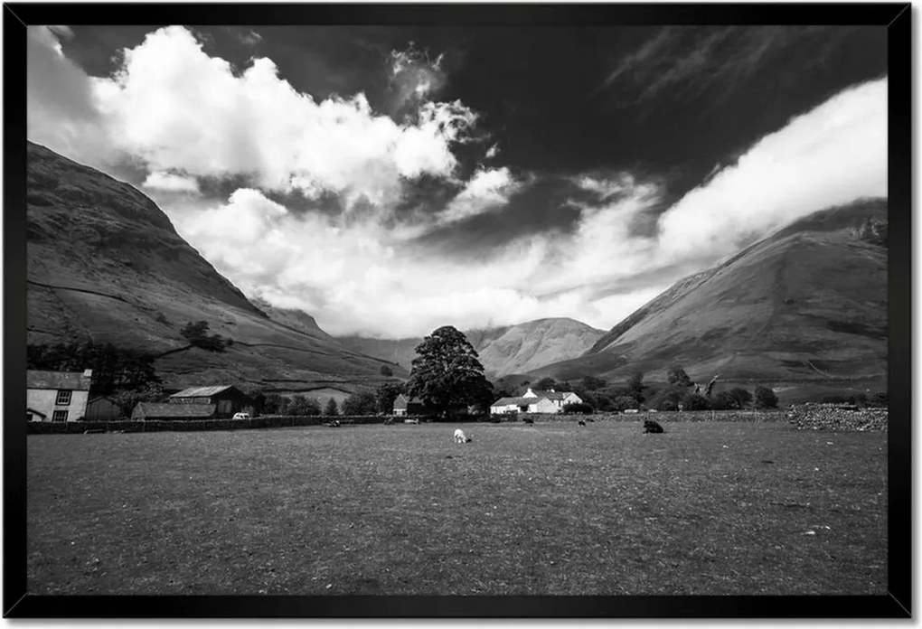 Poszterek keretben 60x40 Bárányok a réten