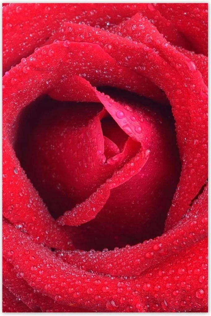 Poszterek 80x120 Nőnap Ajándék Love