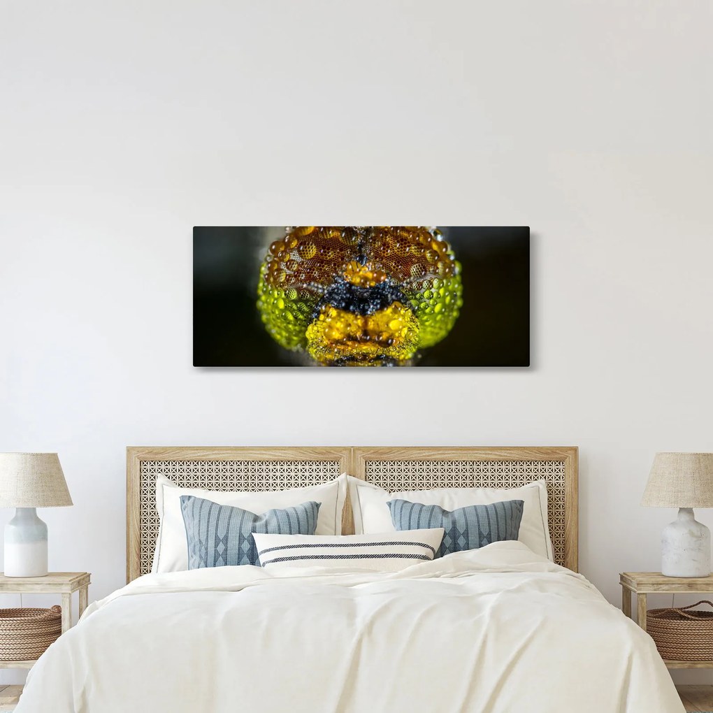 Részletes kép a rovar szemről (120x50 cm)