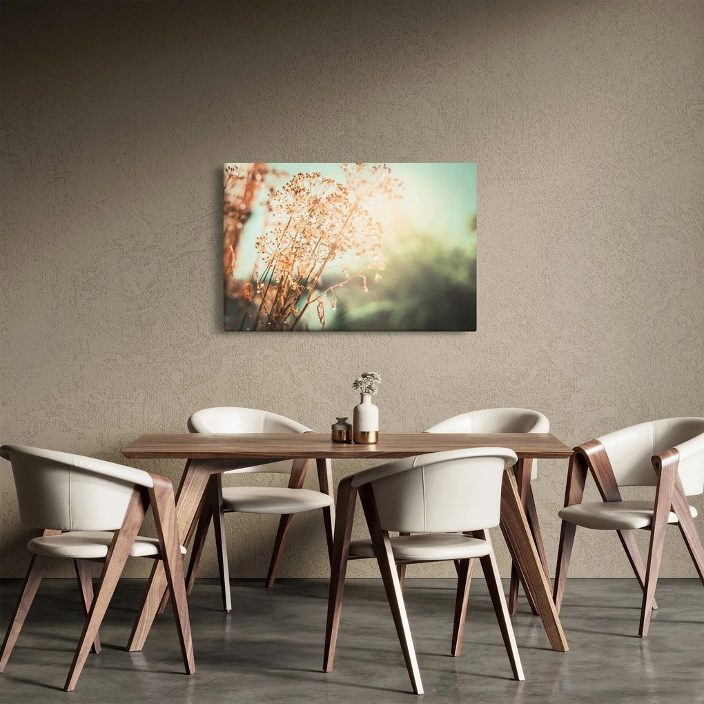 Kép - Növények eső után (90x60 cm)