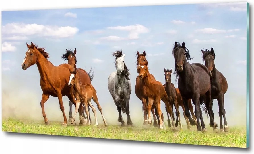 Fotótapéta üvegfalra Lovak a galoppban 125x50
