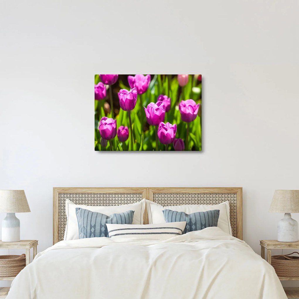 Tulipánok a réten képe (70x50 cm)