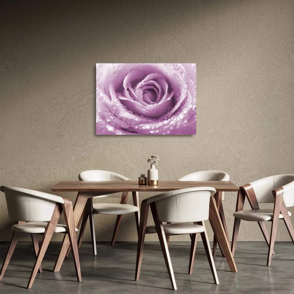Egy rózsa virág részlete (üvegen) (70x50 cm)
