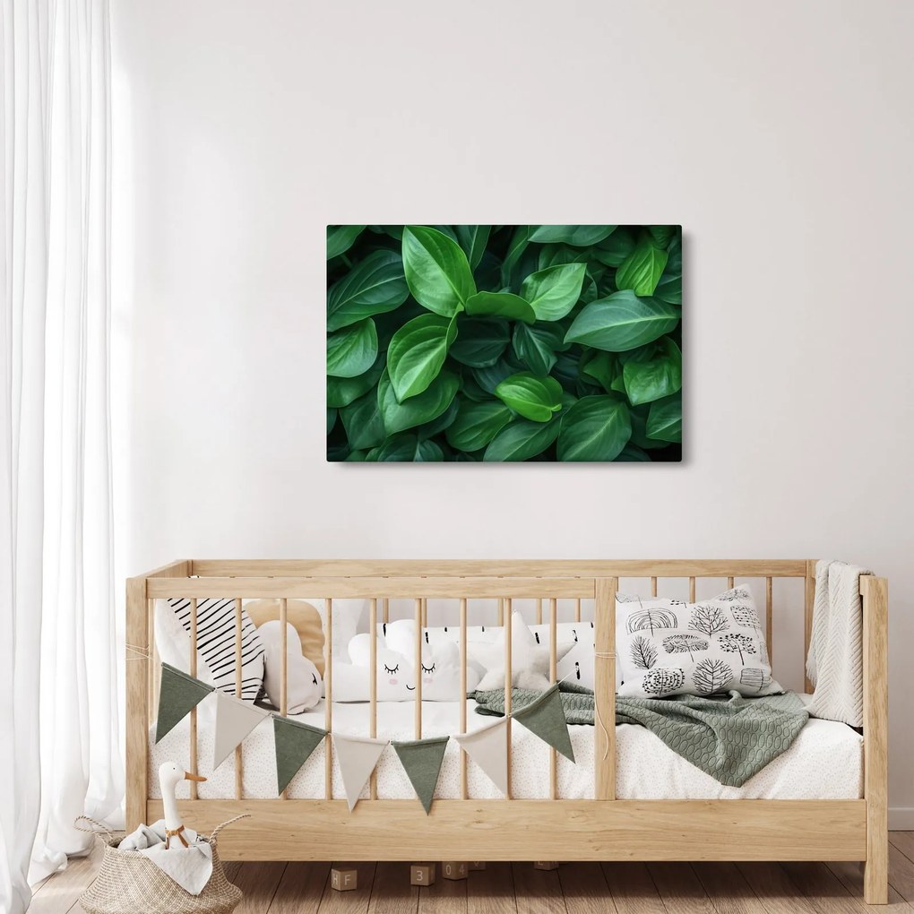 Kép - Zöld levelek (90x60 cm)