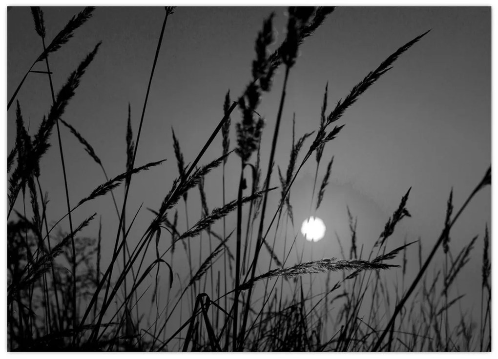 Kép - rét naplementével (70x50 cm)