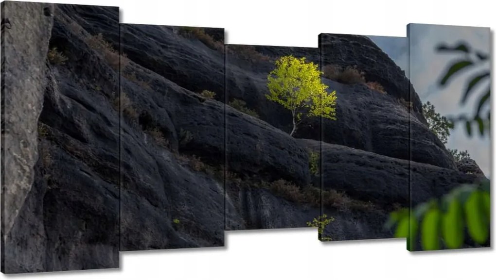 Festmények 150x80 Fa Fák Kilátás