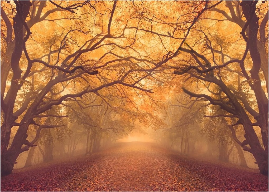 Egy út képe egy őszi tájon (üvegen) (70x50 cm)