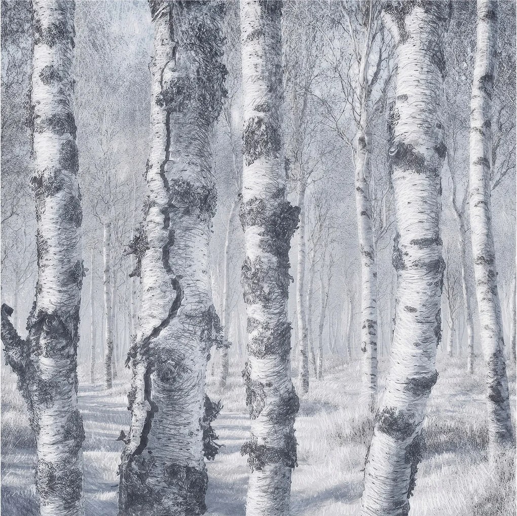 Fotótapéta Flizelin Hálószoba és Nappali Tapéta Fagyos természet 250x250