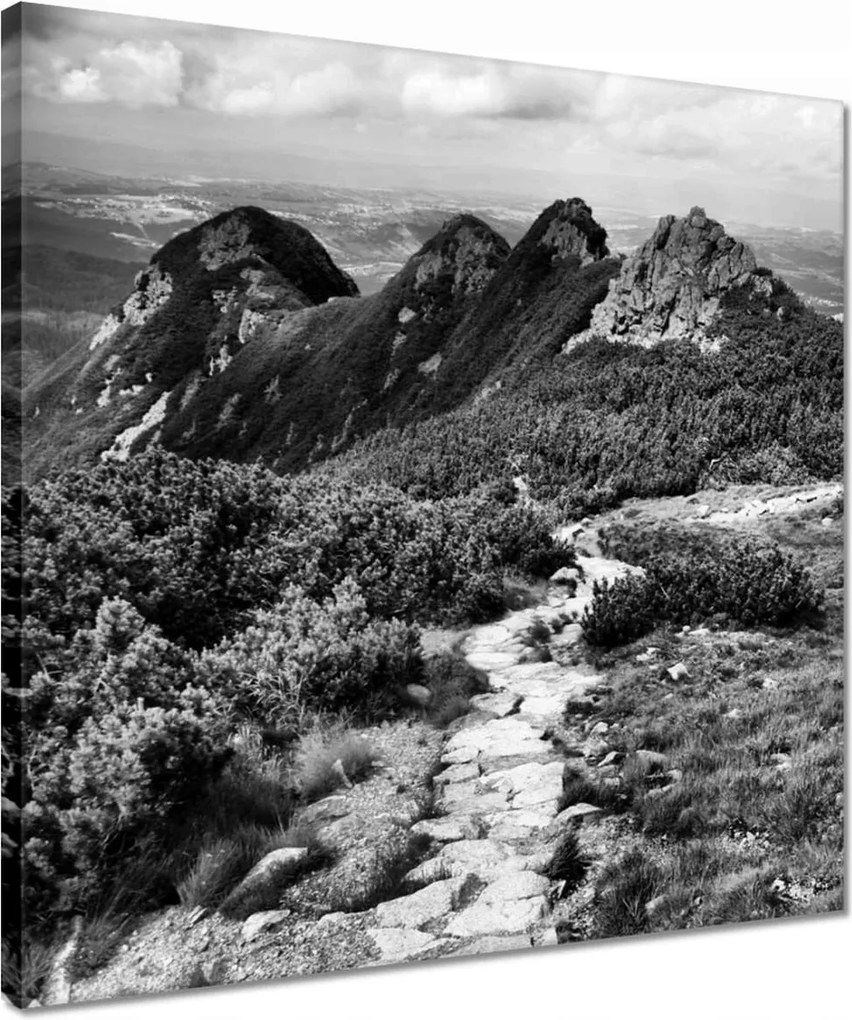 Vászonkép 40x40 Tátra Lengyel hegyek Kilátás