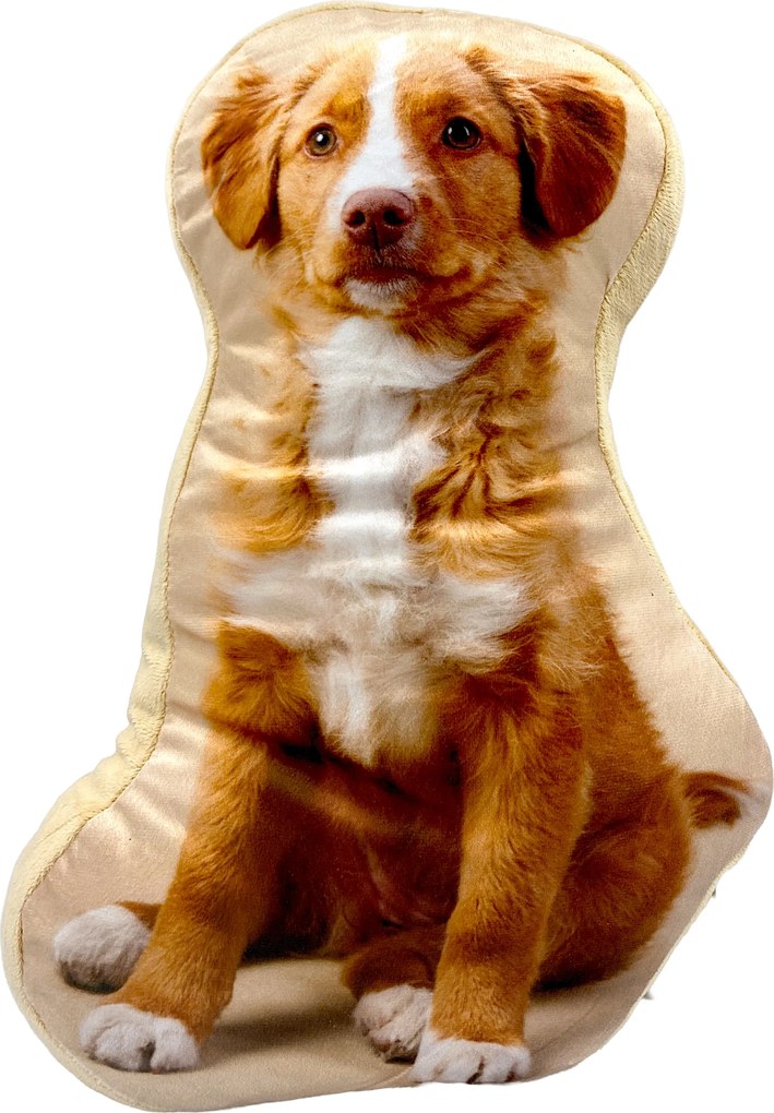 Smukee Kutya alakú párna golden retriever