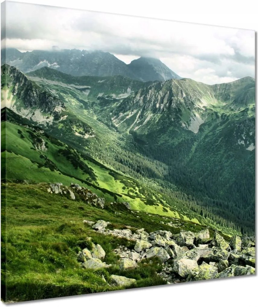 Vászonkép 50x50 Tátra Lengyel hegyek Kilátás