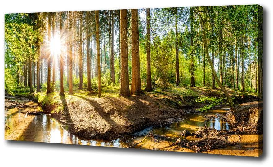 Feszített vászonkép Panorama erdő pl-oc-100x50-f-145813283