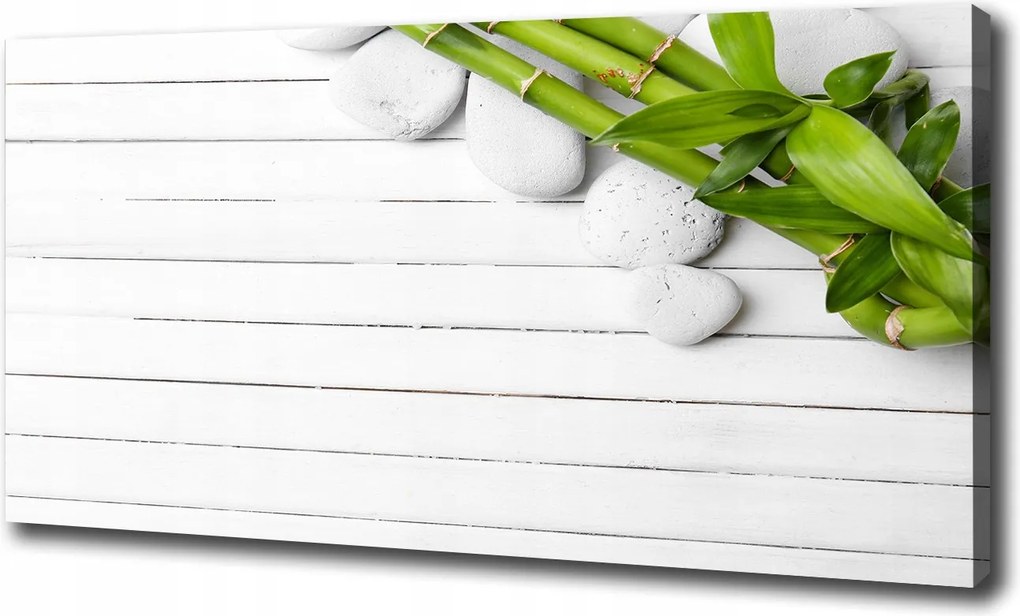 Fotótapéta nagy canvas falikép Bambusz 120x60 cm