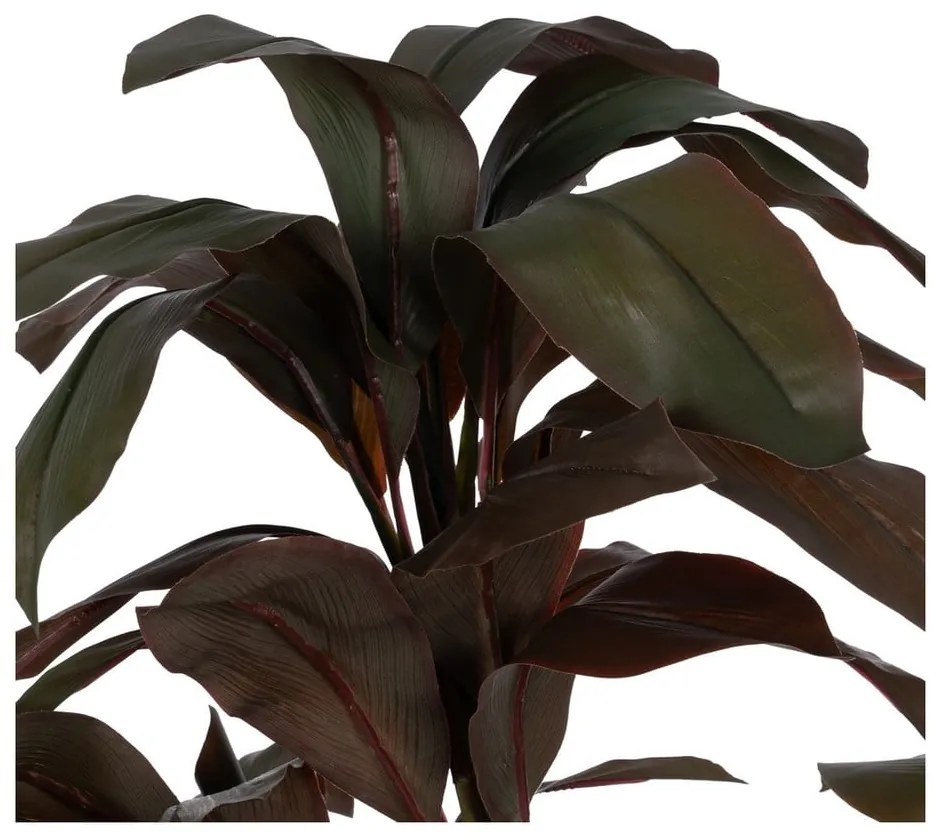 Műnövény (magasság 170 cm) – Ixia