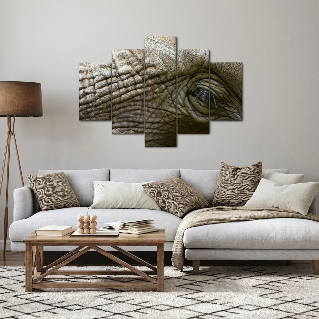 Kép - Közelkép az öreg elefánt szeméről (150x105 cm)