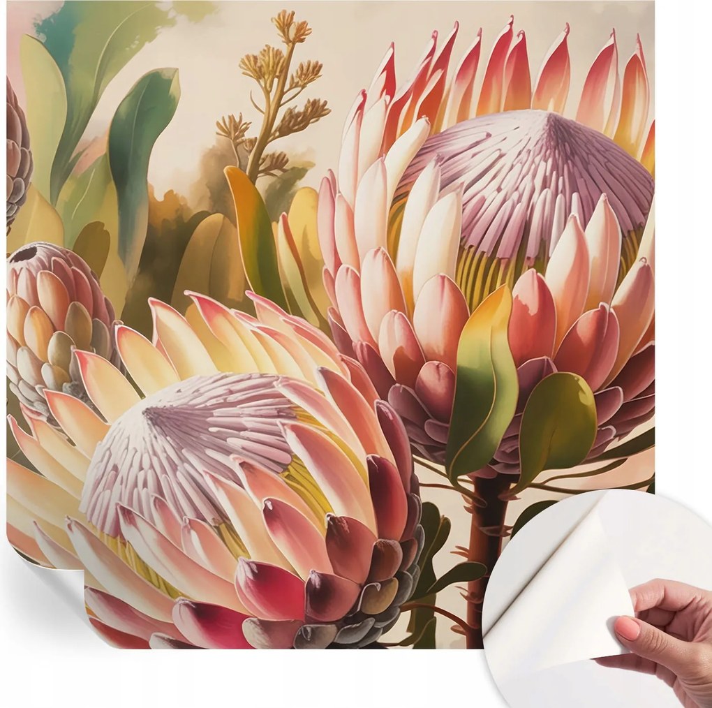 Dekoratív öntapadós fotótapéta Hálószobába Protea virágok 250x250 cm