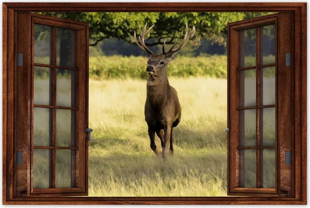 Poszterek 60x40 Szarvas a réten az erdőben