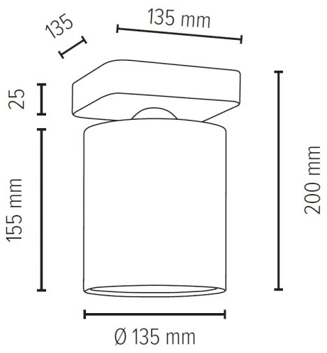 Spot-Light 8512174 - Mennyezeti lámpa JENTA 1xE27/25W/230V